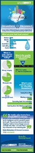 DreamForce Infographic