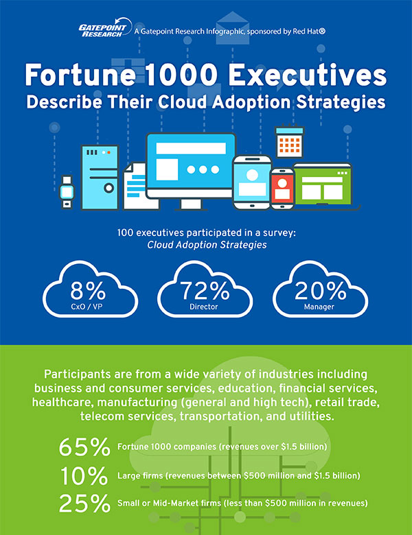Fortune 1000 Executives Describe Their Cloud Adoption Strategies